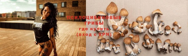 MESCALINE Аркадак