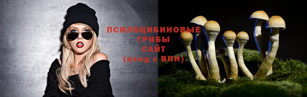 МДПВ Армянск
