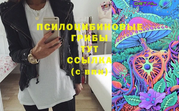 МДПВ Армянск