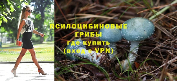 МДПВ Армянск