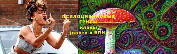 спайс Арсеньев