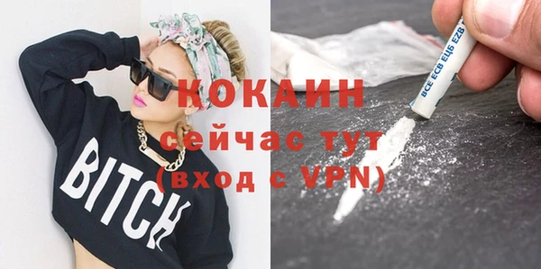 ПСИЛОЦИБИНОВЫЕ ГРИБЫ Слюдянка