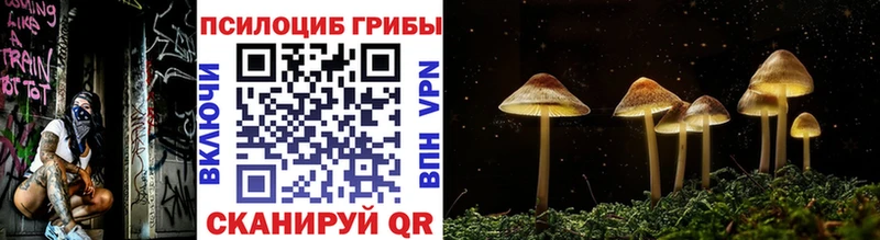 Псилоцибиновые грибы мухоморы  Балтийск 