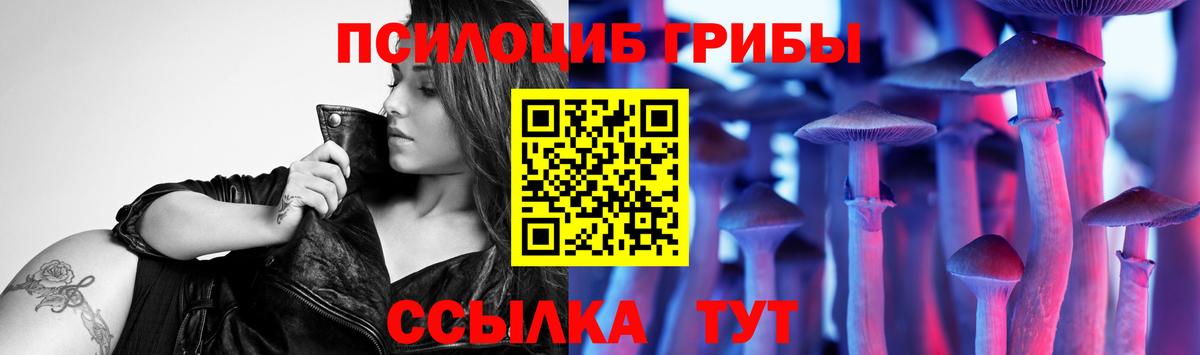 купить  цена  Псилоцибиновые грибы GOLDEN TEACHER  Вход с VPN  Балтийск 